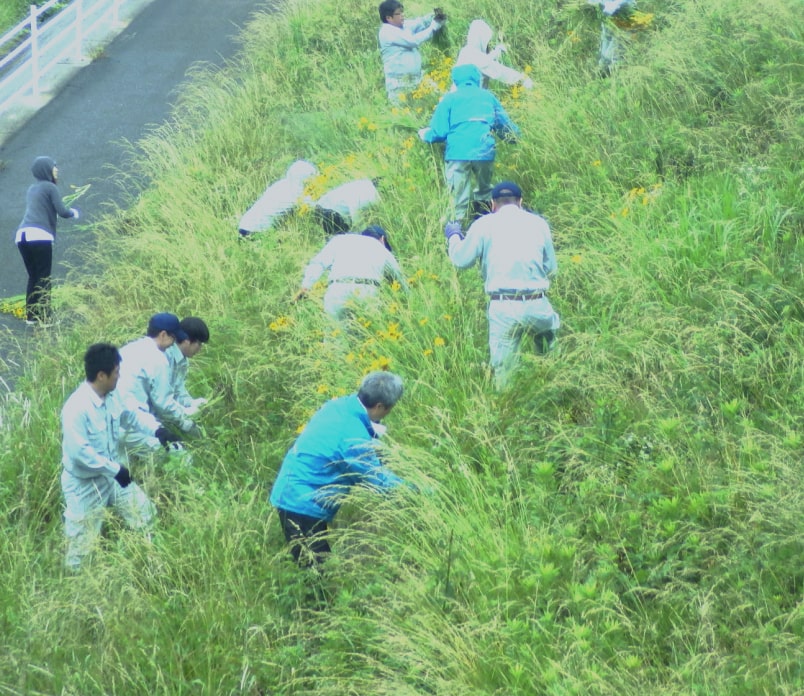 浅野川せせらぎ橋周辺