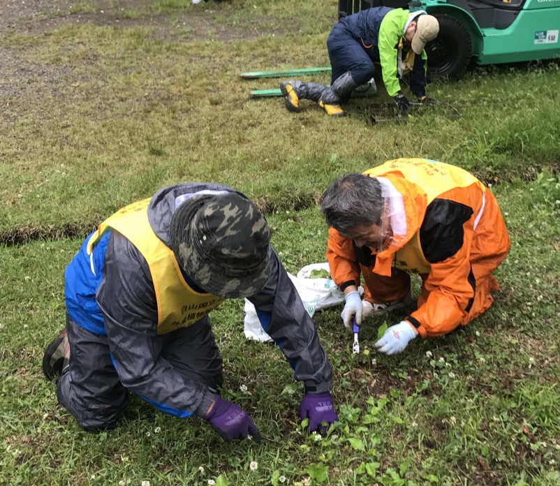 一緒に除去作業にあたります